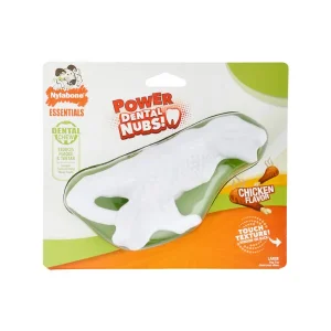 NYLABONE DAILY DENTAL DURABLE DINOSAUR – CHICKEN FLAVOR LARGE