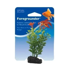 PENN PLAX BETTA PLANT MONEYWORT / GREEN WITH ORANGE 9CM