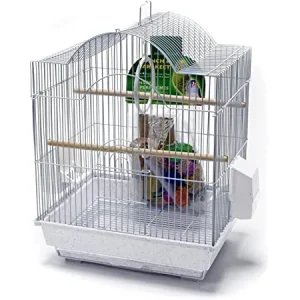 PENN PLAX SMALL BIRD STARTER KIT