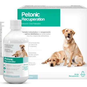 Petonic Recuperación
