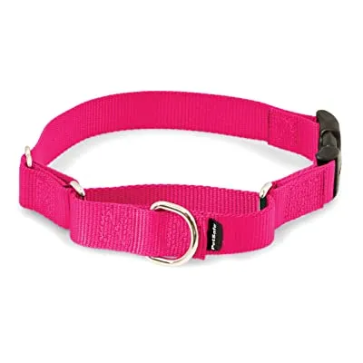 PETSAFE MARTINGALE QUICK SNAP P 3/8 RASBERRY