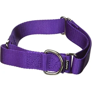 PETSAFE MARTINGALE QUICK SNAP PETITE 3/8 DEEP PURPLE