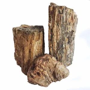 FELLER STONE PETRIFIED WOOD KG