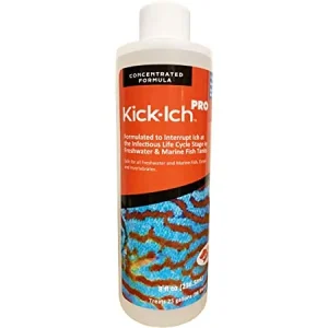 RUBY REEF KICK-ICH PRO 16OZ