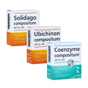 Kit terapia SUC Heel – ERC