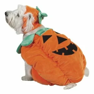 ZACK & ZOEY PUMPKIN POOCH – Small
