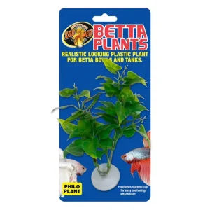 ZOOMED BETTA PLANT – PHILO