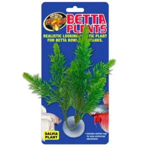 ZOOMED BETTA PLANT-SALVIA