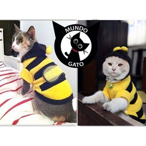 Disfraz de abeja para gato