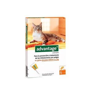 Advantage Pipeta Gato hasta 4 Kg