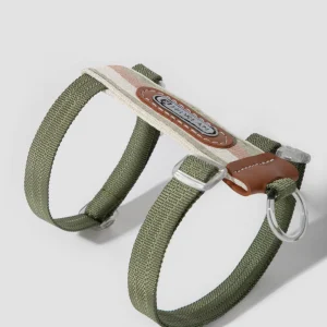 Arnés y correa de rayas para gatos