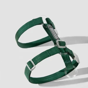 Arnés y correa para gatos – Serie Bobo Exploración Libre