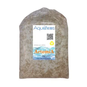 ArtemiA