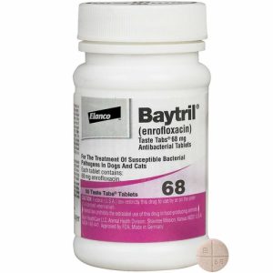 BAYTRIL TAB 50 MG 30 TAB