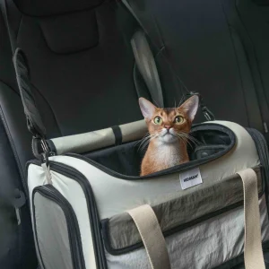 Bolsa de Viaje para Mascotas en Avión Estilo Tote