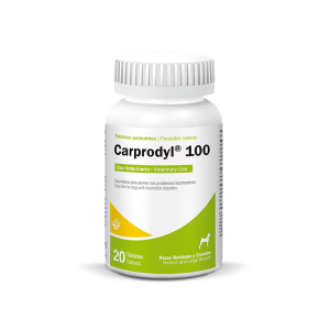 Carprodyl 100 – Tabletas para Uso Veterinario – Anti-inflamatorio y Analgésico