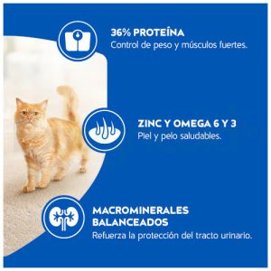 Cat Chow Adulto Defense Plus Esterilizados 1.5 KG