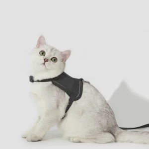Chaleco de Arnés para Gatos