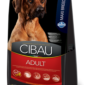 CIBAU ADULT MAXI 15KG Concentrado para perros