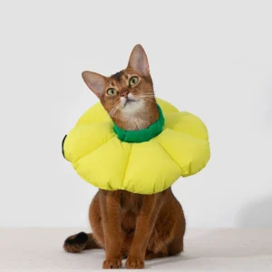 Collar isabelino con diseño de flores