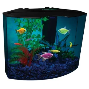 GLOFISH ACRYLIC AQUARIUM KIT 5GL