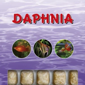 DAPHNIA 100G (6UNI)