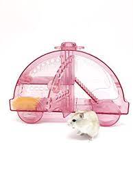 Transportadora Carro