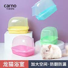 Arenera Gato (Roedor)