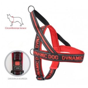Arnés acolchado Dynamic dog rojo