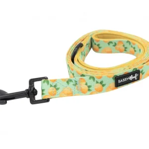 SASSY WOOF LEASH – MAIN SQUEEZE