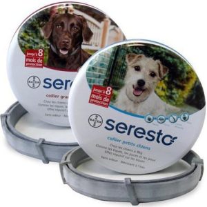 Seresto perros collar antiparasitario