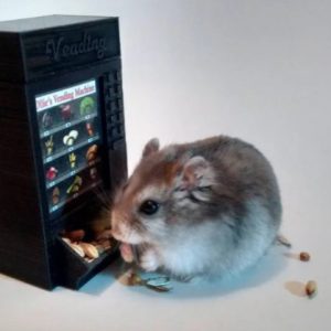 Dispensador de Golosinas