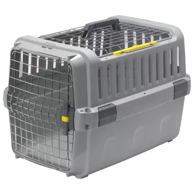 KENNEL ODYSSEY MEDIUM