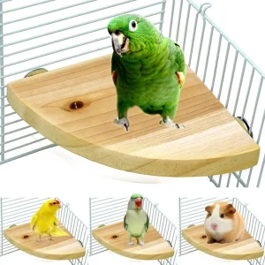 Estante de soporte de madera en forma de abanico para pájaros, percha para animales pequeños.