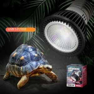Lámpara Led para reptiles, luz UVB + UVA, ahorro de energía, protección ocular,110/220V