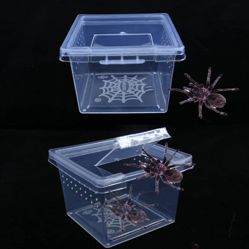 Caja de plástico para cría de insectos, contenedor para incubar, escarabajo, araña, casa de insectos.