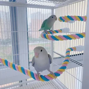 Juguetes Para morder pájaros para mascotas, cuerda de algodón de Color para loros, juguetes elásticos para escalar, jaula de arnés de columpio para pájaros resistente.