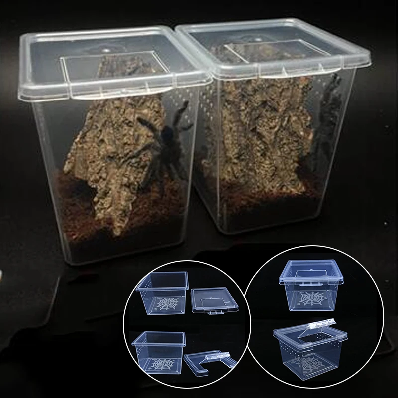 Caja de plástico para cría de insectos, contenedor para incubar, escarabajo, araña, casa de insectos. - Imagen 4