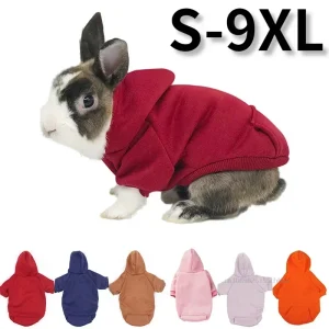 Suéter cálido de dos patas para perro, ropa con bolsillo para conejito, Lapin, cachorro, conejo, accesorios para mascotas pequeñas, Otoño e Invierno.