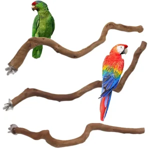Percha Natural para loros, soporte para pájaros, palo de árbol, horquilla para moler patas, periquito, pájaro trepador, ramas de pie, juguetes.