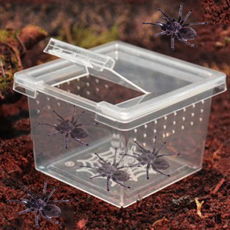Caja de plástico para cría de insectos, contenedor para incubar, escarabajo, araña, casa de insectos. - Imagen 5