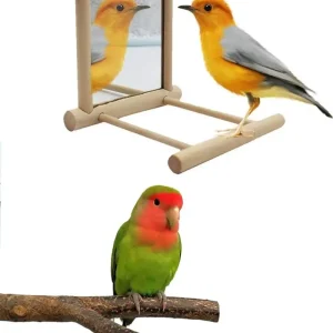 Juguete interactivo de madera con espejo para pájaros, percha para loros pequeños, periquitos, cacatúas, accesorios para jaula