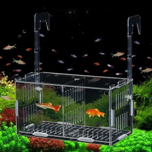 Caja de cría de peces Ornamental para acuario, incubadora de camarones, doble cría de Guppy, Betta,  caja de aislamiento de peces, caja de plantas hidropónicas