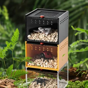 Caja de alimentación de reptiles para gatear, incubadora separada de pequeño tamaño, tablero de observación Acrílico.
