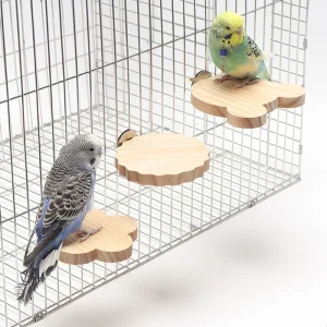 Perchas redondas de madera con forma de flor para mascotas, plataforma de juguete para loros y pájaros, estante de pie.