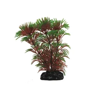 PENN PLAX BETTA PLANT CABOMBA /GREEN WITH RED 9CM