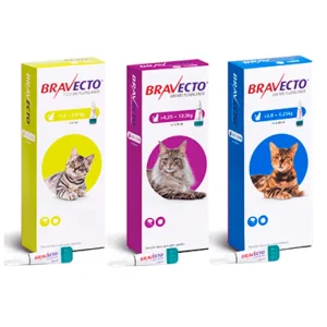 Bravecto gatos Spot-on