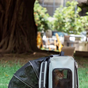 Mochila de Espalda con Tienda Expandible para Mascotas