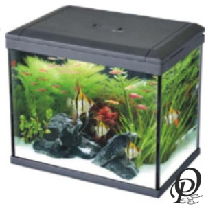 ICUBE AQUARIUM – Acuario de Vidrio Curvo para Espacios Modernos