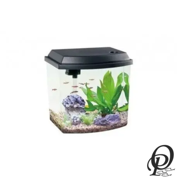 Lucent Aquarium – Acuario Ultra Transparente para Exhibición Moderna